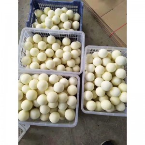 Good Quality Nylon Ball -
 Nylon Ball – SHUNDA