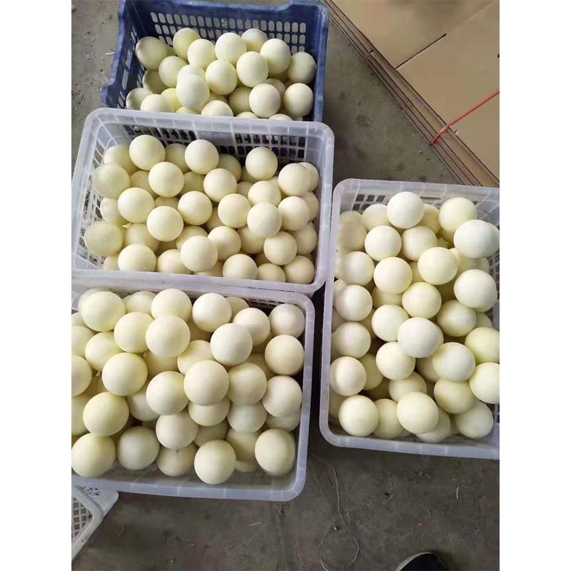 China OEM Nylon Ball -
 Nylon Ball – SHUNDA
