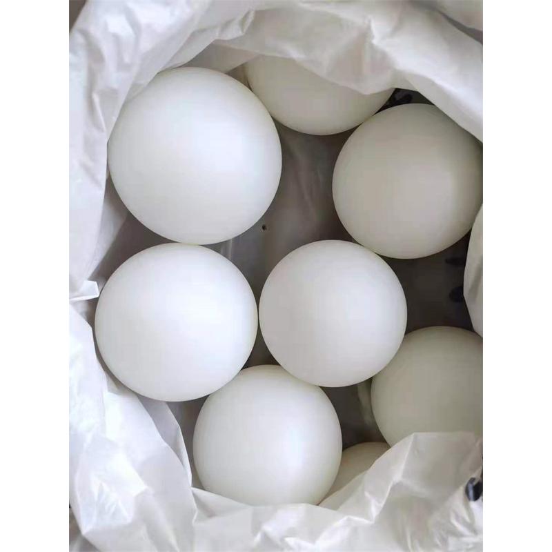 Good Quality Nylon Ball -
 China Factory Manufacture Nylon PE HDPE Plastic Ball – SHUNDA